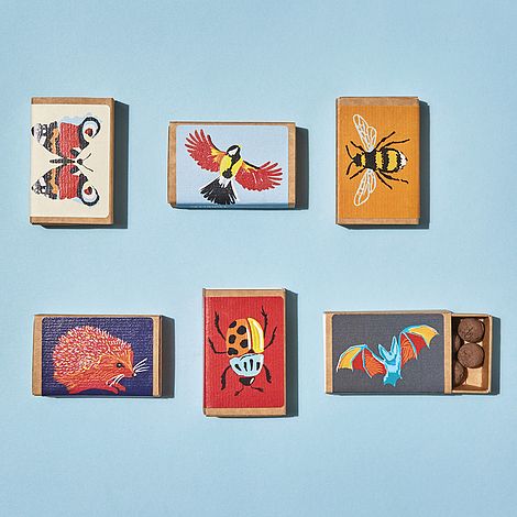 Wildlife Collection Seed Ball Boxes